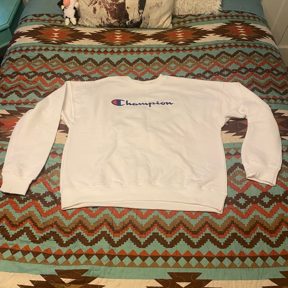 Champion sweatshirt(never been worn)